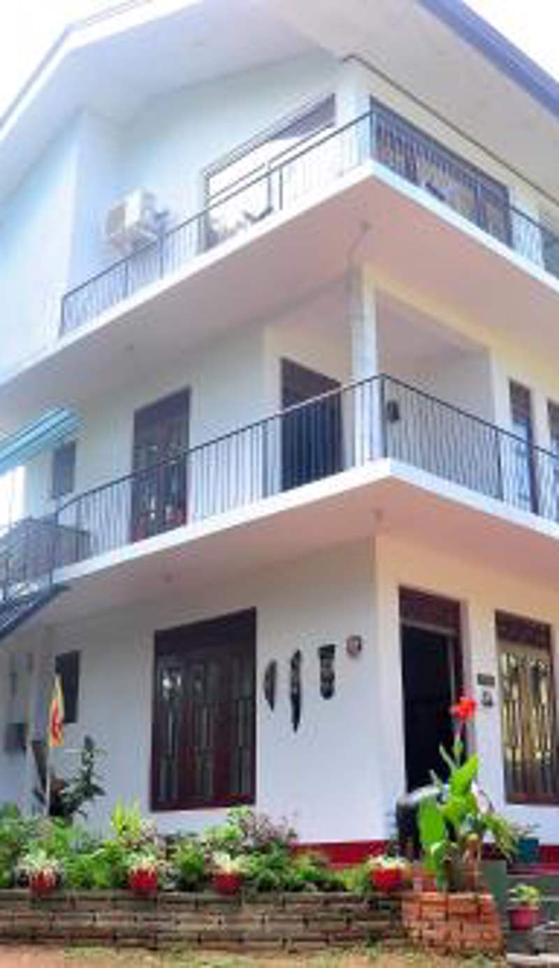 Little Swan Guest house