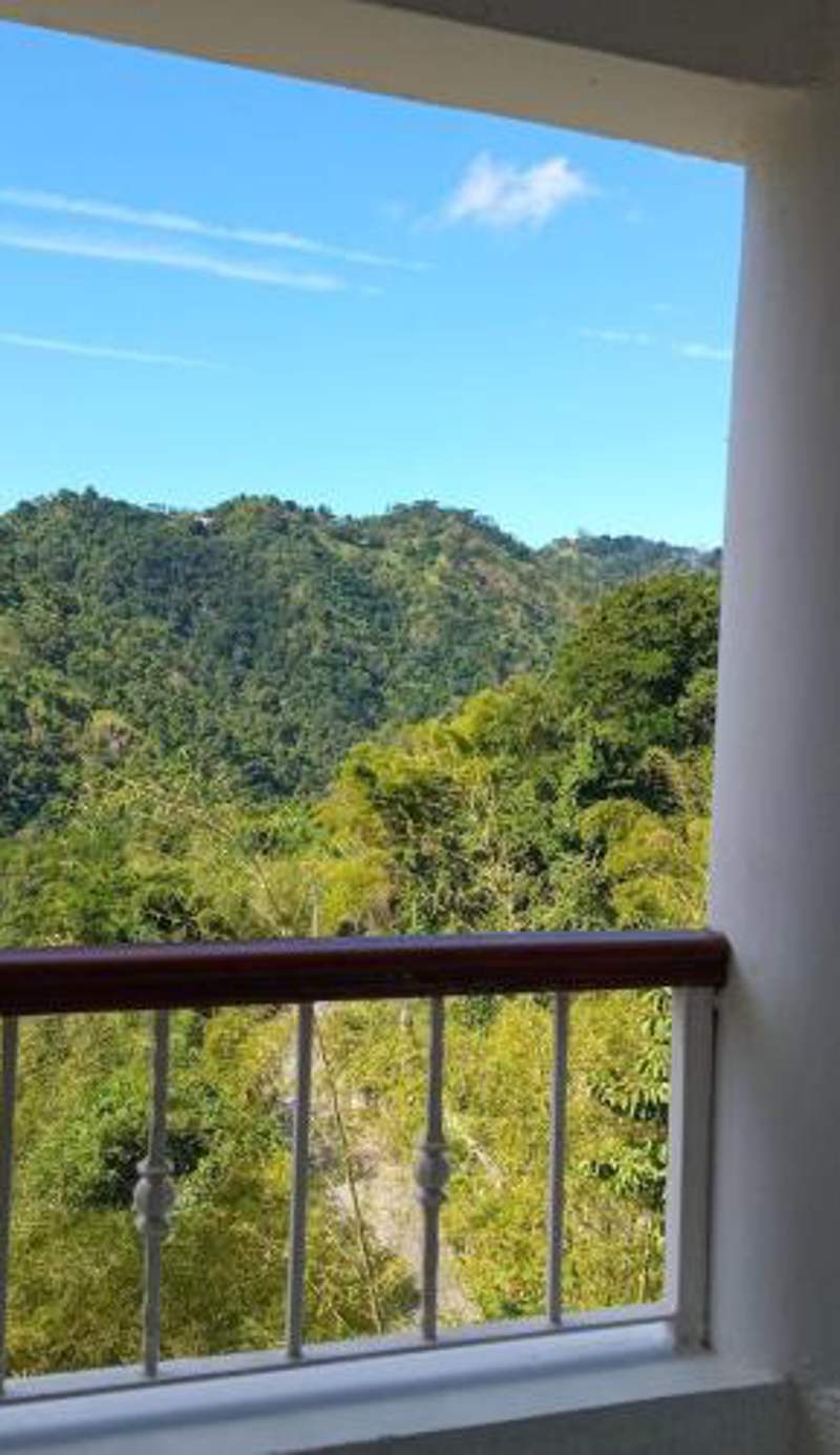 Gorgeous 1 Bedroom Apartment in the Kingston Hills