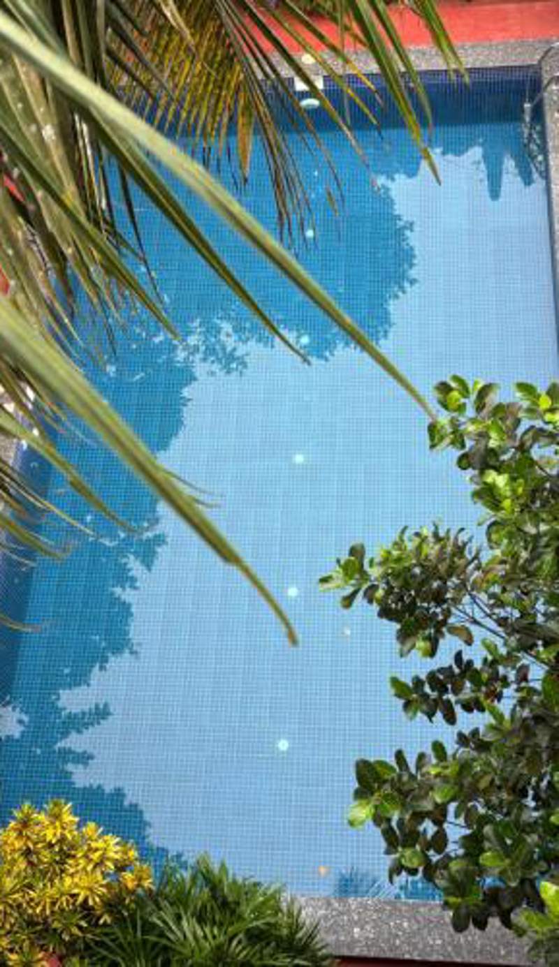 Serendipity Goa - Service Apartments and Cafe