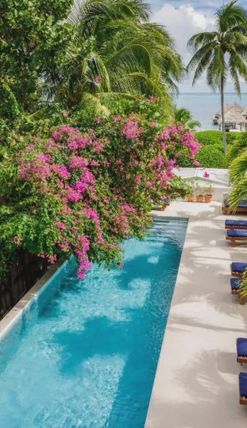 Weezie's Ocean Front Hotel and Garden Cottages