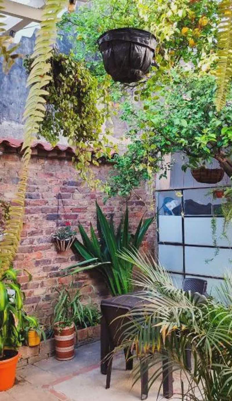 Hospedaje la Casa de Chavela centro histórico