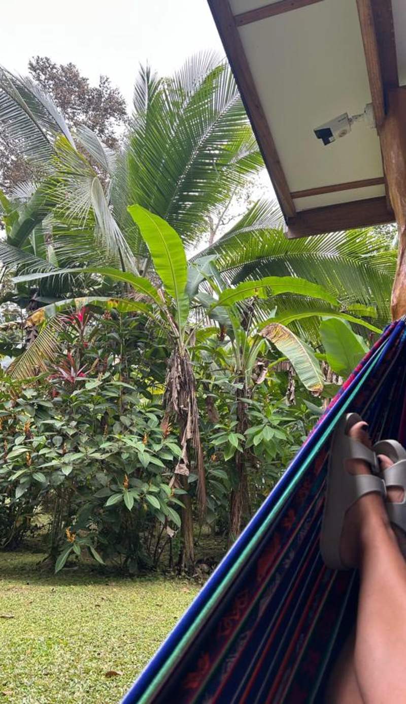 La Rana De Cahuita