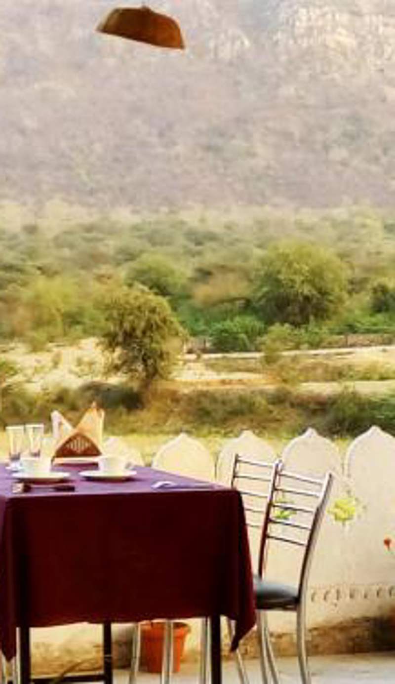 Ranthambhore Tiger Valley