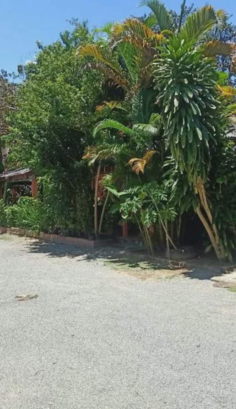 Pina House