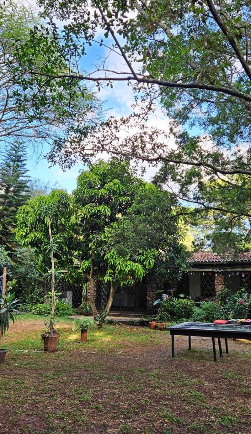 Mad Vervet Nairobi Backpackers Hostel