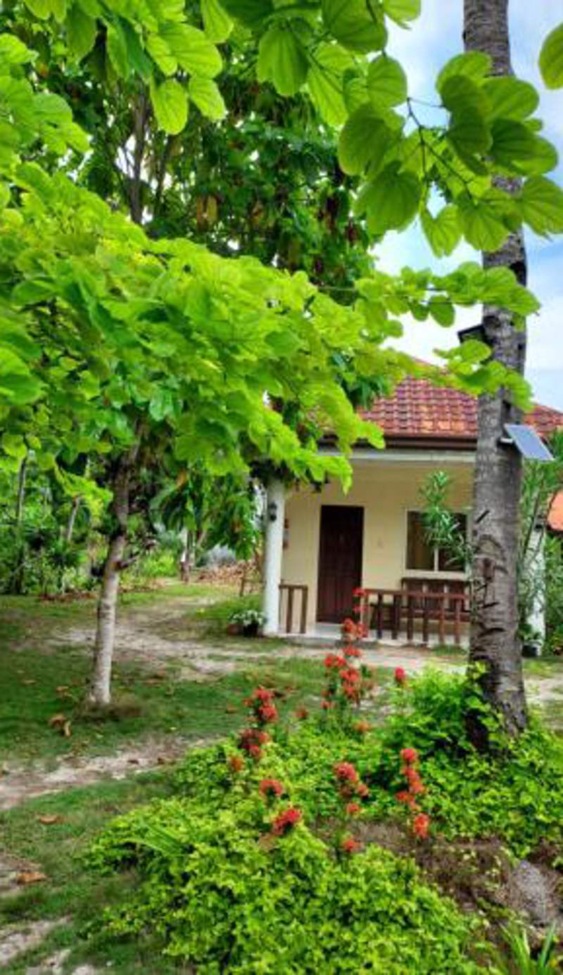 Celtis Resort