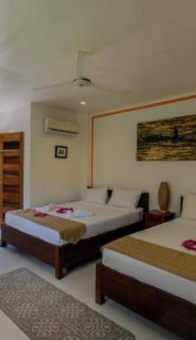 Evolution Dive and Beach Resort