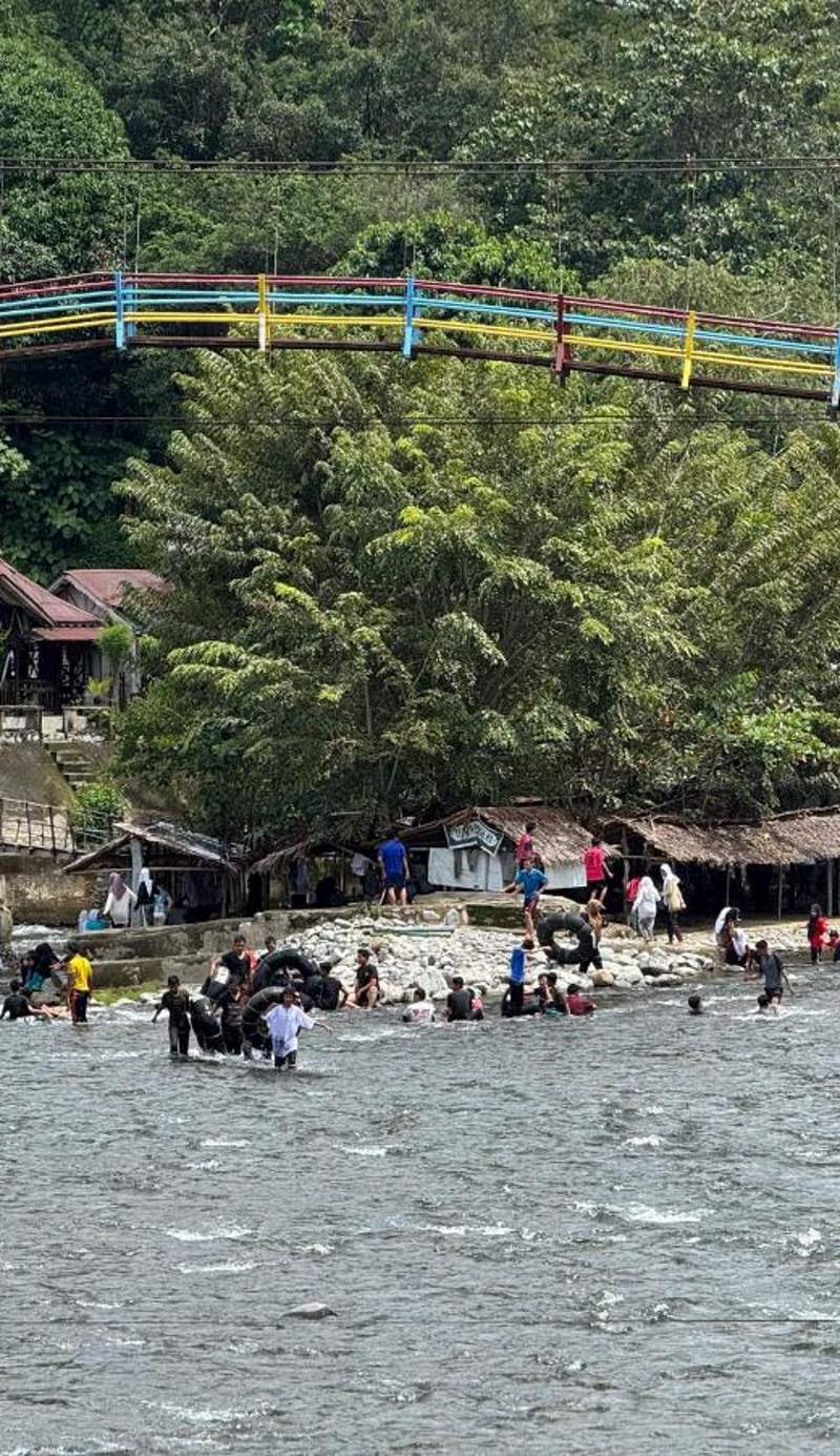 Ida Guest House & JUNGLE TREKKING