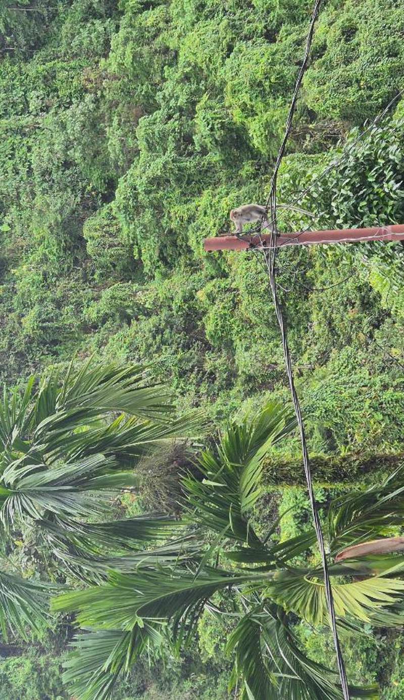 Riverside Guesthouse and Treks