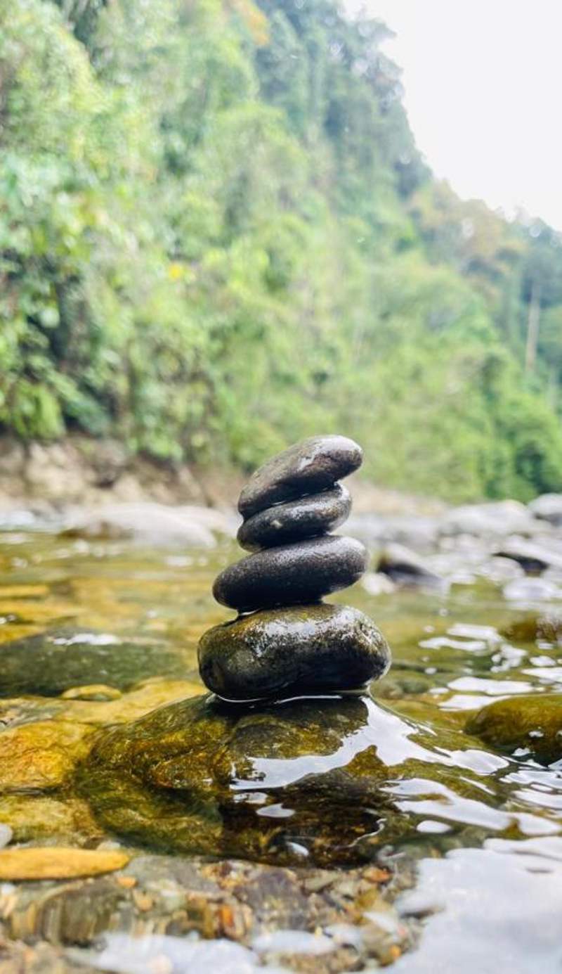 Rain Forest Guest House and Jungle Trekking