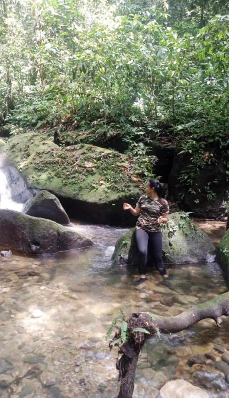 Tiga dara guest house & jungle trekking bukit Lawang
