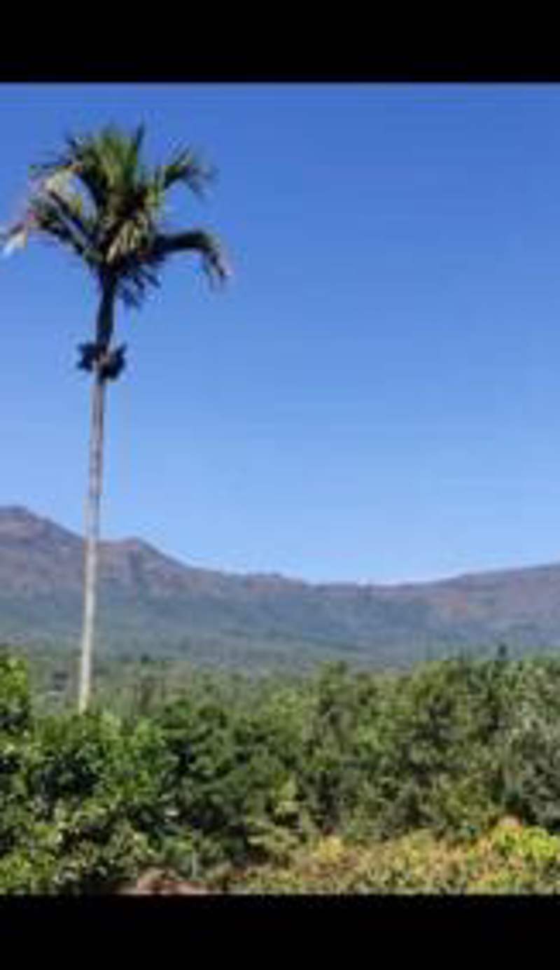 Nature Inn stay