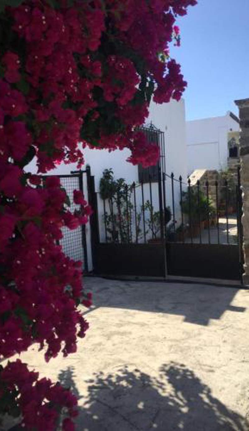 Apartamento Las adelfas