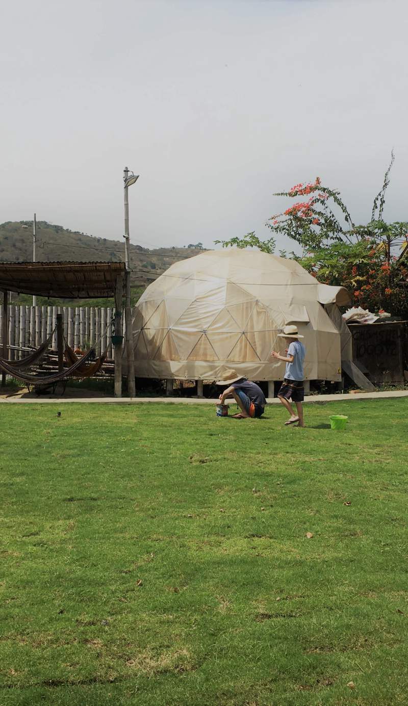 Nativa Whale Domes