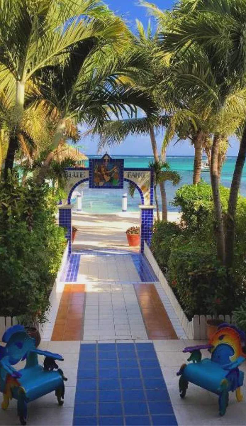 Blue Tang Inn - Beachfront Suites and Pool