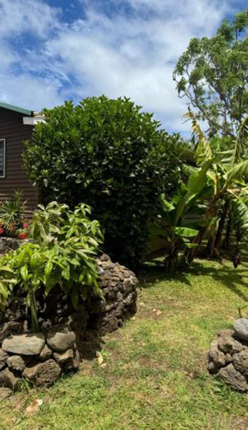 Cabañas Raupa
