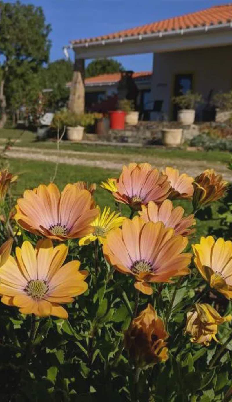 Quinta Reuffurth