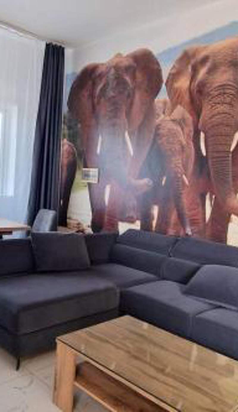 Safari