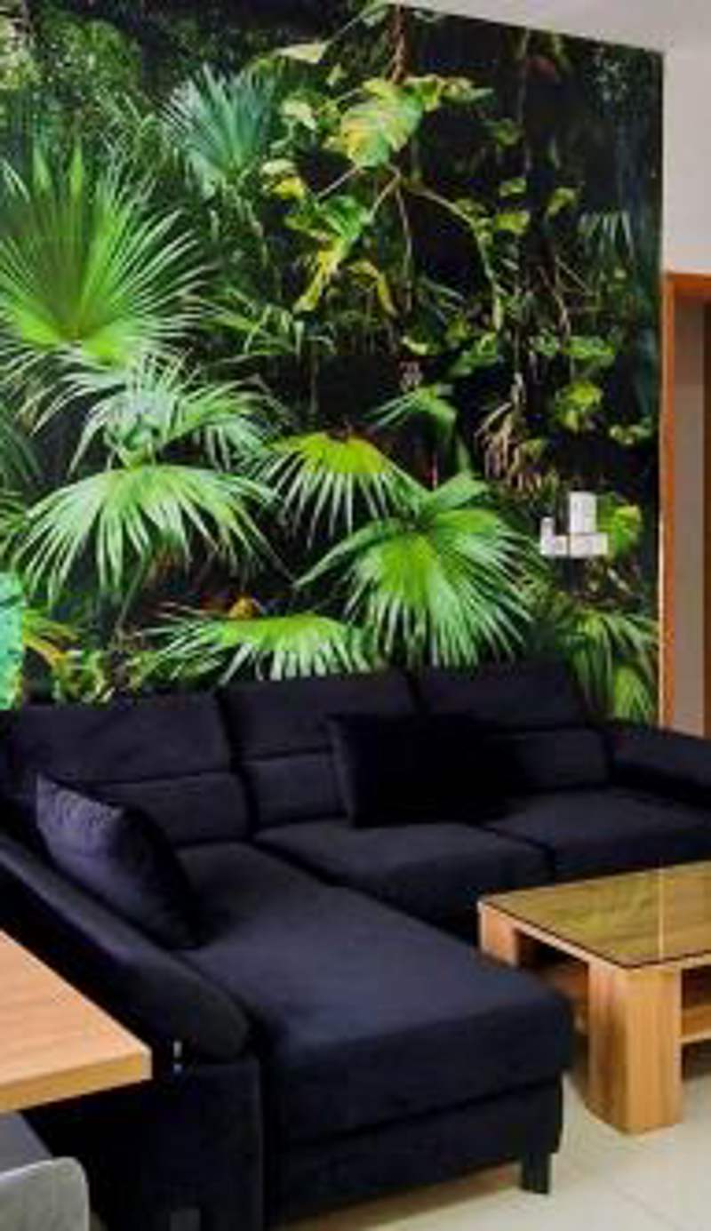 Jungle Sensation