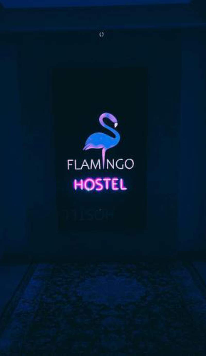 Flamingo