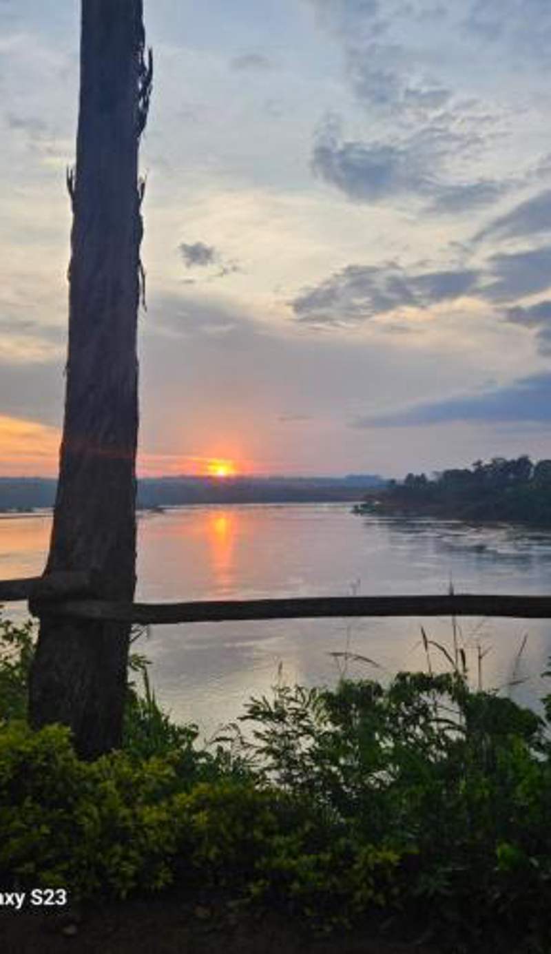 Nile river cottages