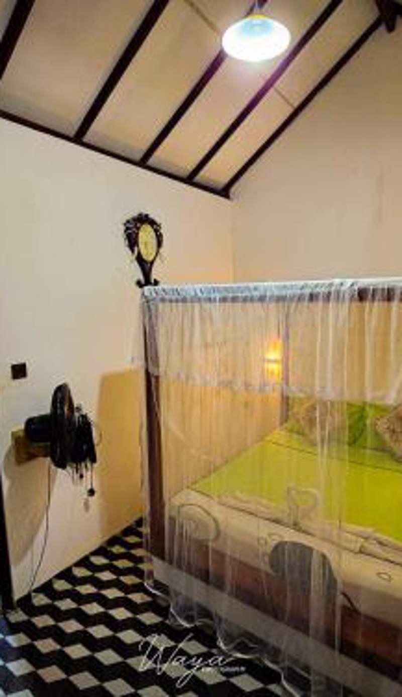 Peacock's Paradise Safari Hostel