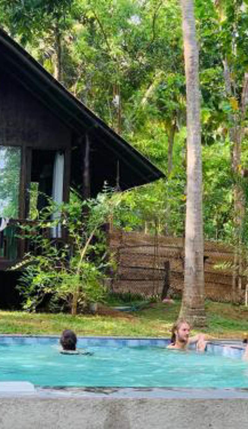 Nature World Jungle Paradise