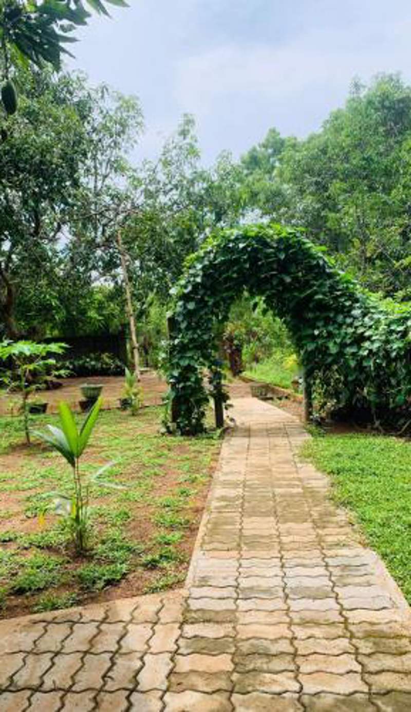 Wild Heaven Udawalawe