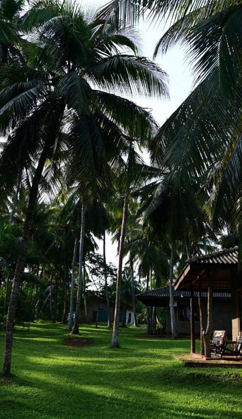 Yonan River Face Safari Resort