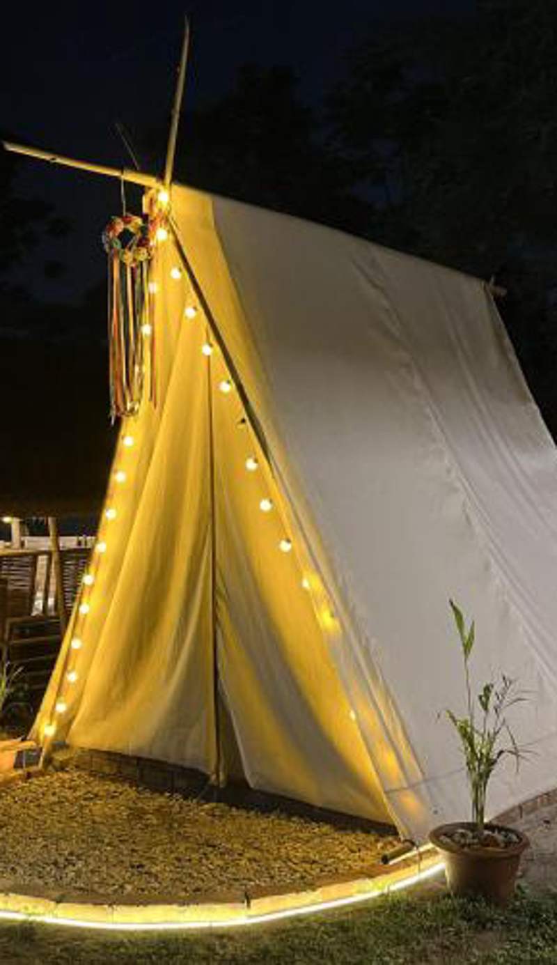 Canopy Haven