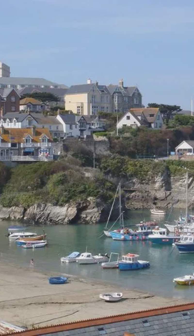The Harbour