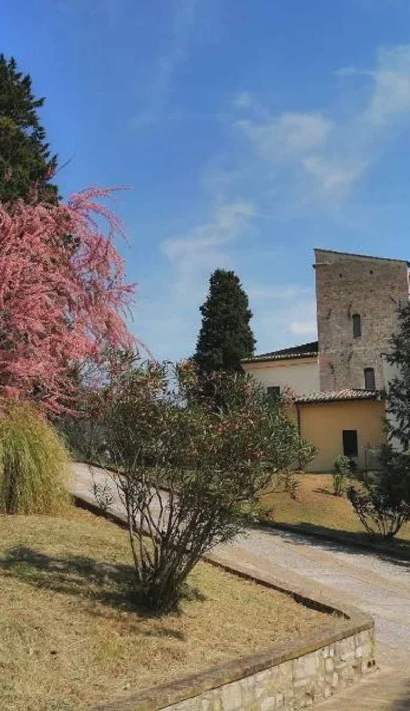 Casa per Ferie Ulivo d'Assisi