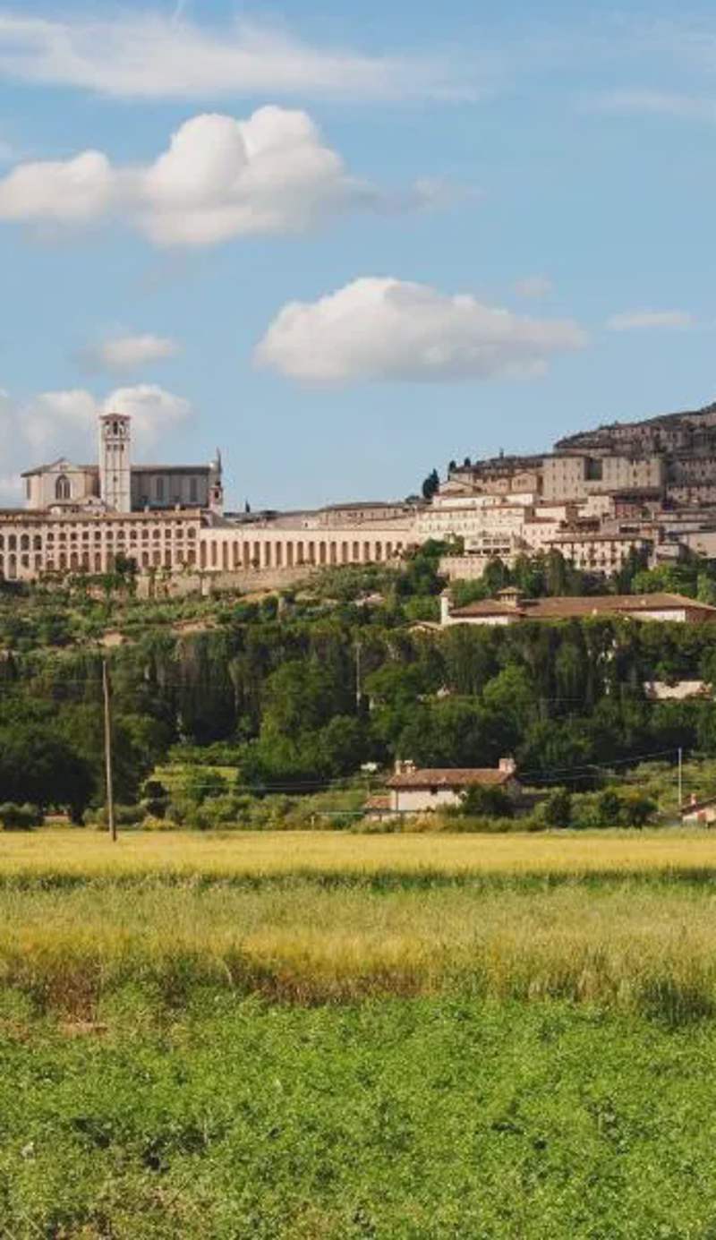 Vista Assisi