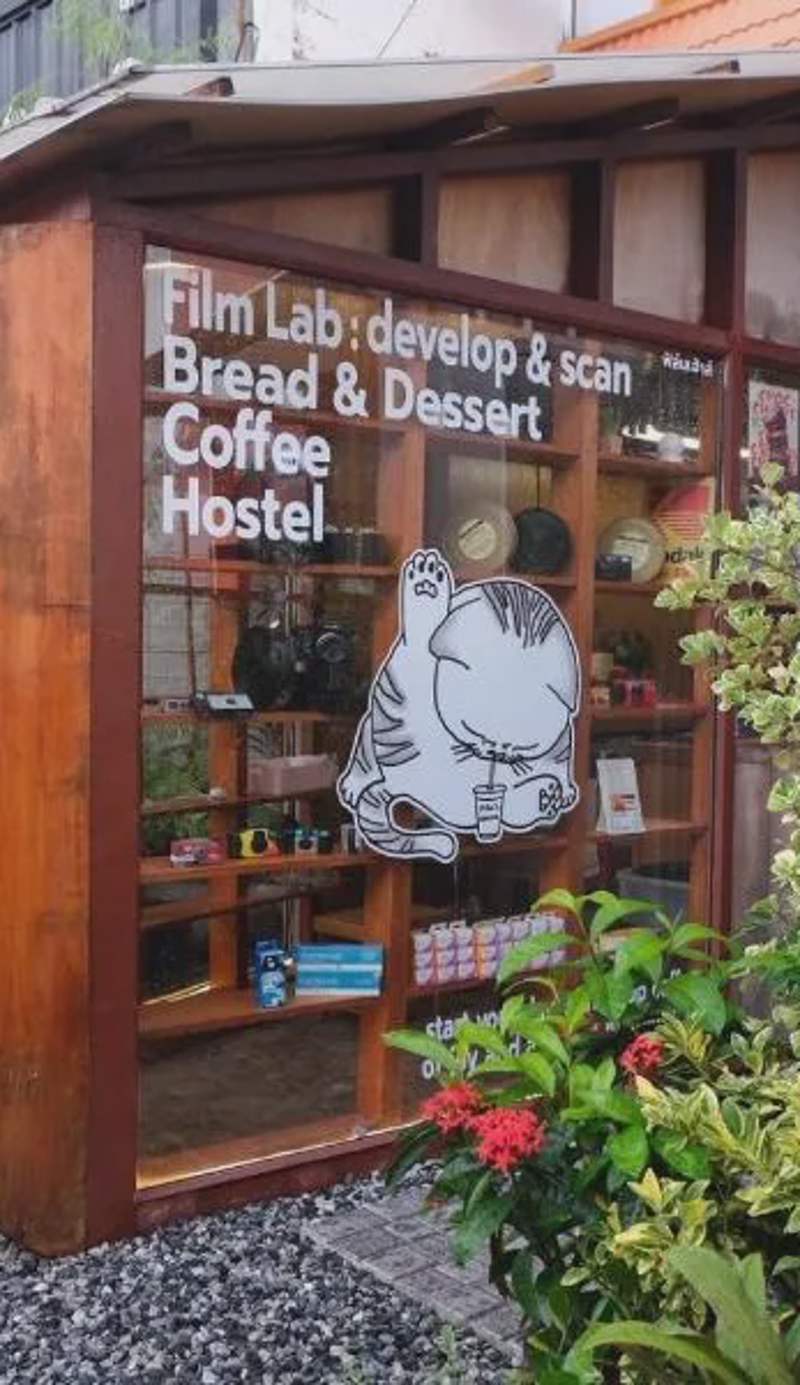Films House Hostel