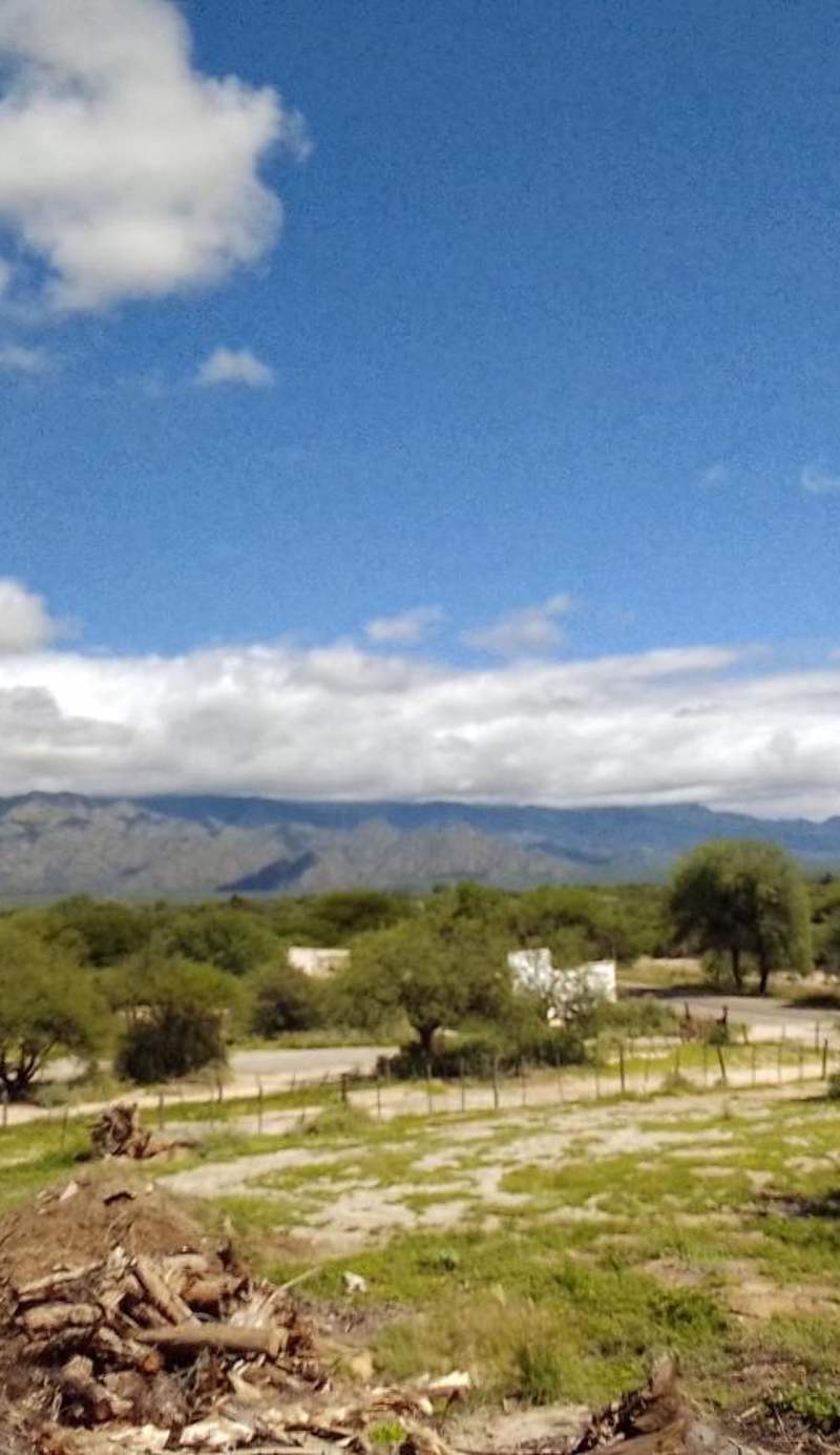 Chañar y Algarroba