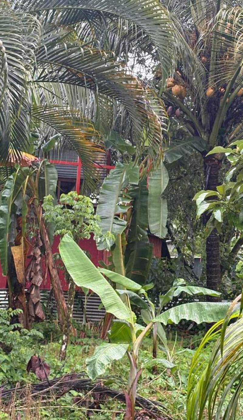 Hospedaje Meryscar