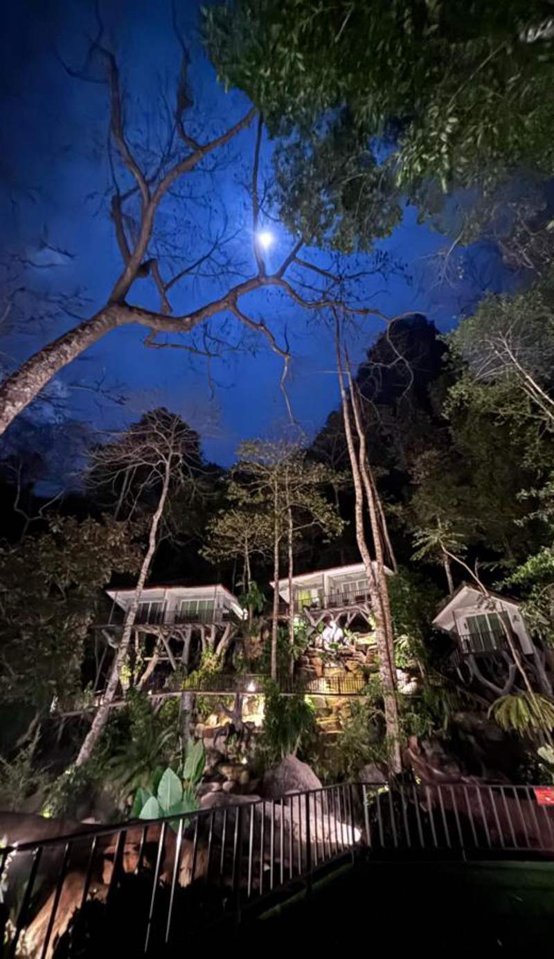 Rock and Tree House Resort
