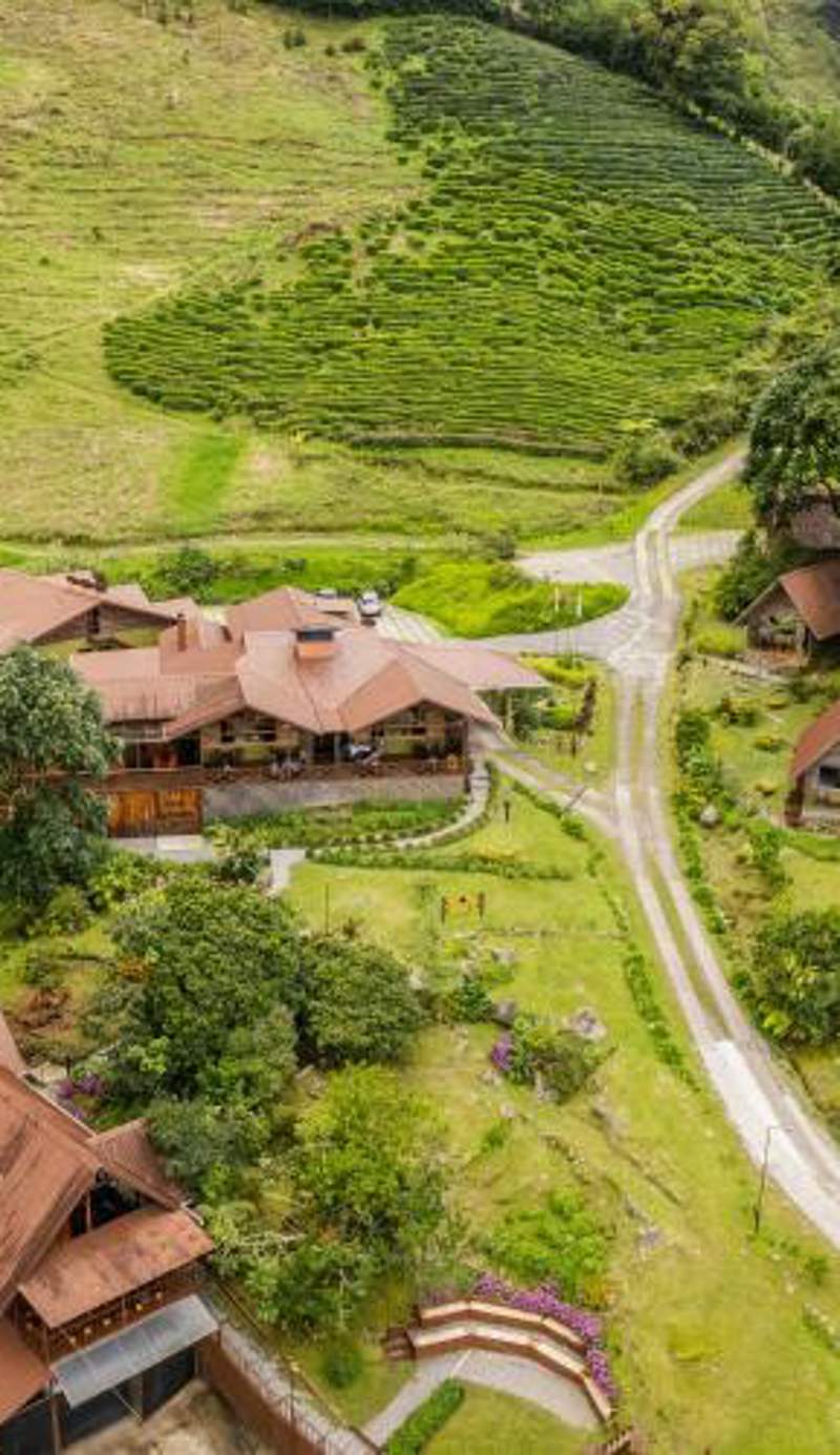 TREE TREK BOQUETE Adventure Park