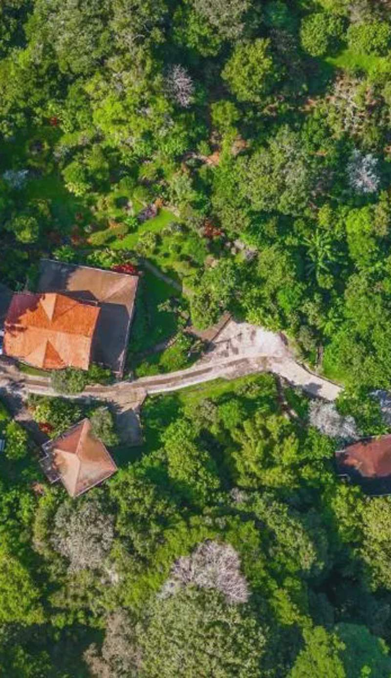 Coffee Estate Inn