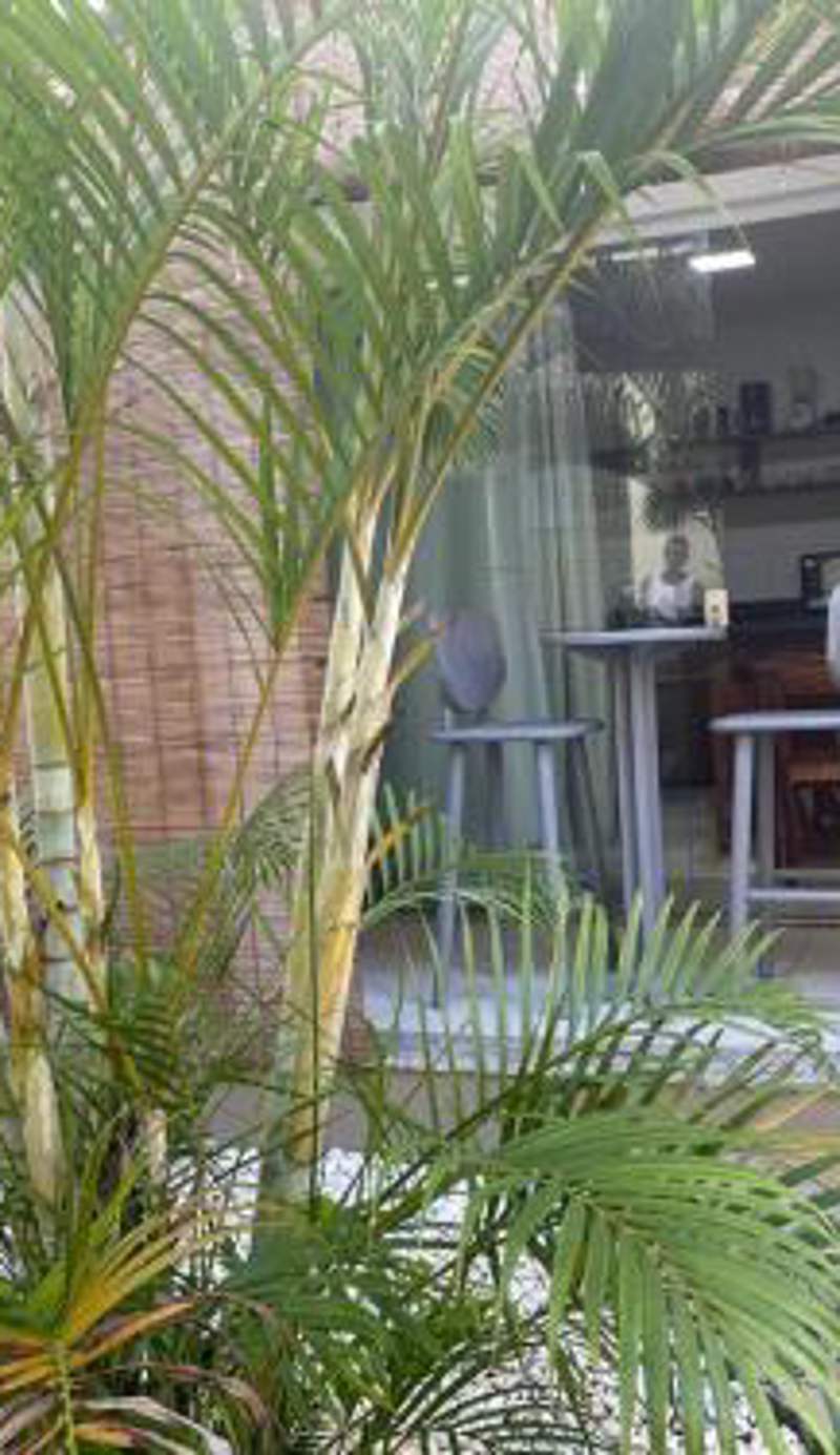 TRANQUILA CONDO