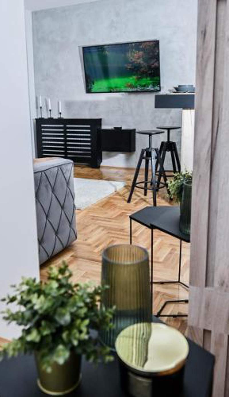 Cozy Apartment Plus