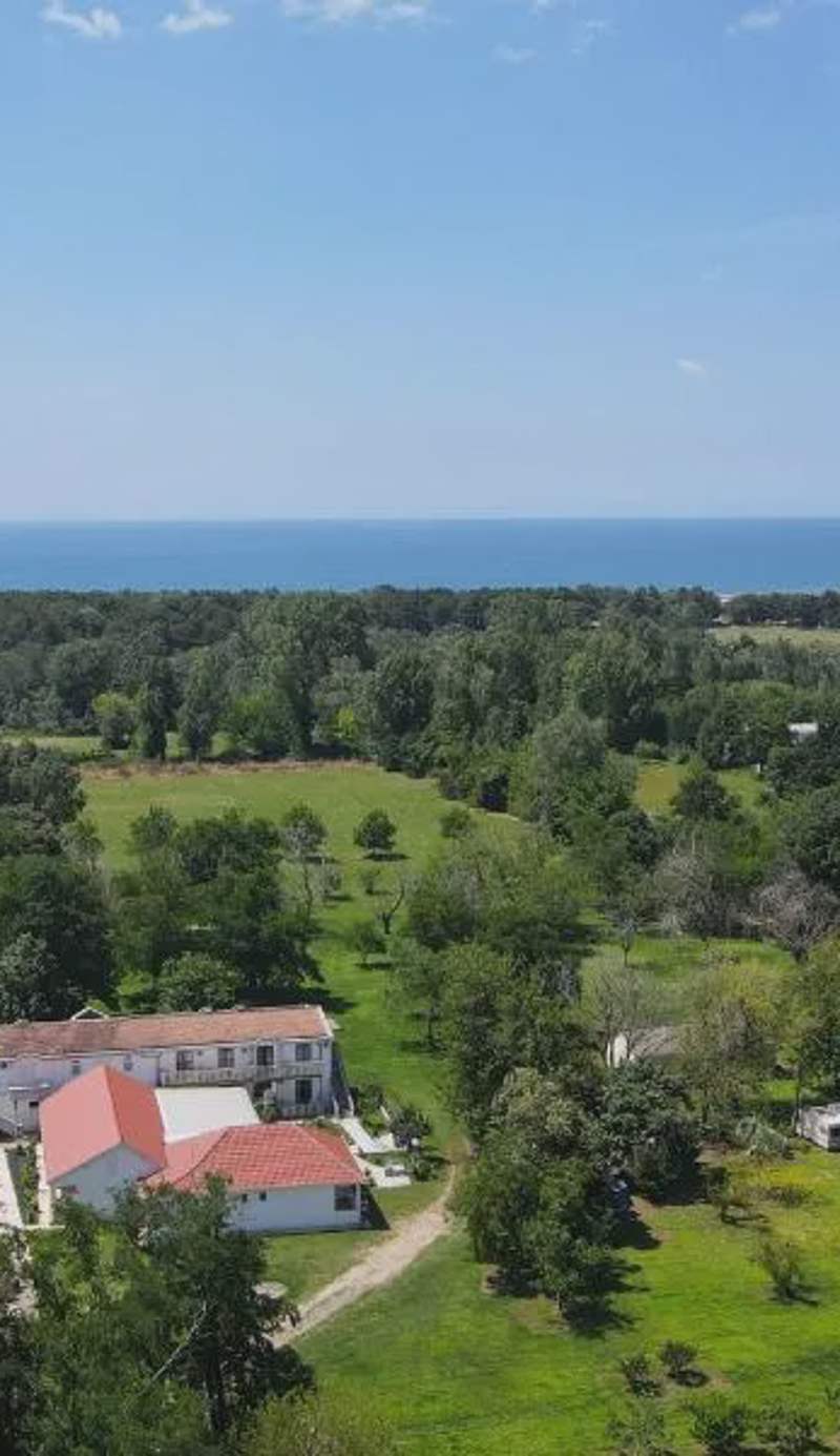 Tomi Guesthouse