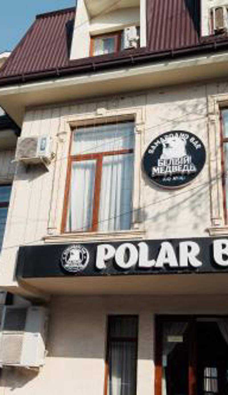 Polar Bear
