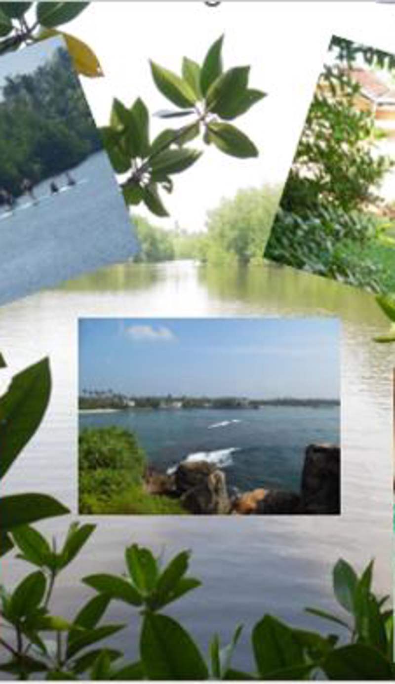 Freedom River House Villa