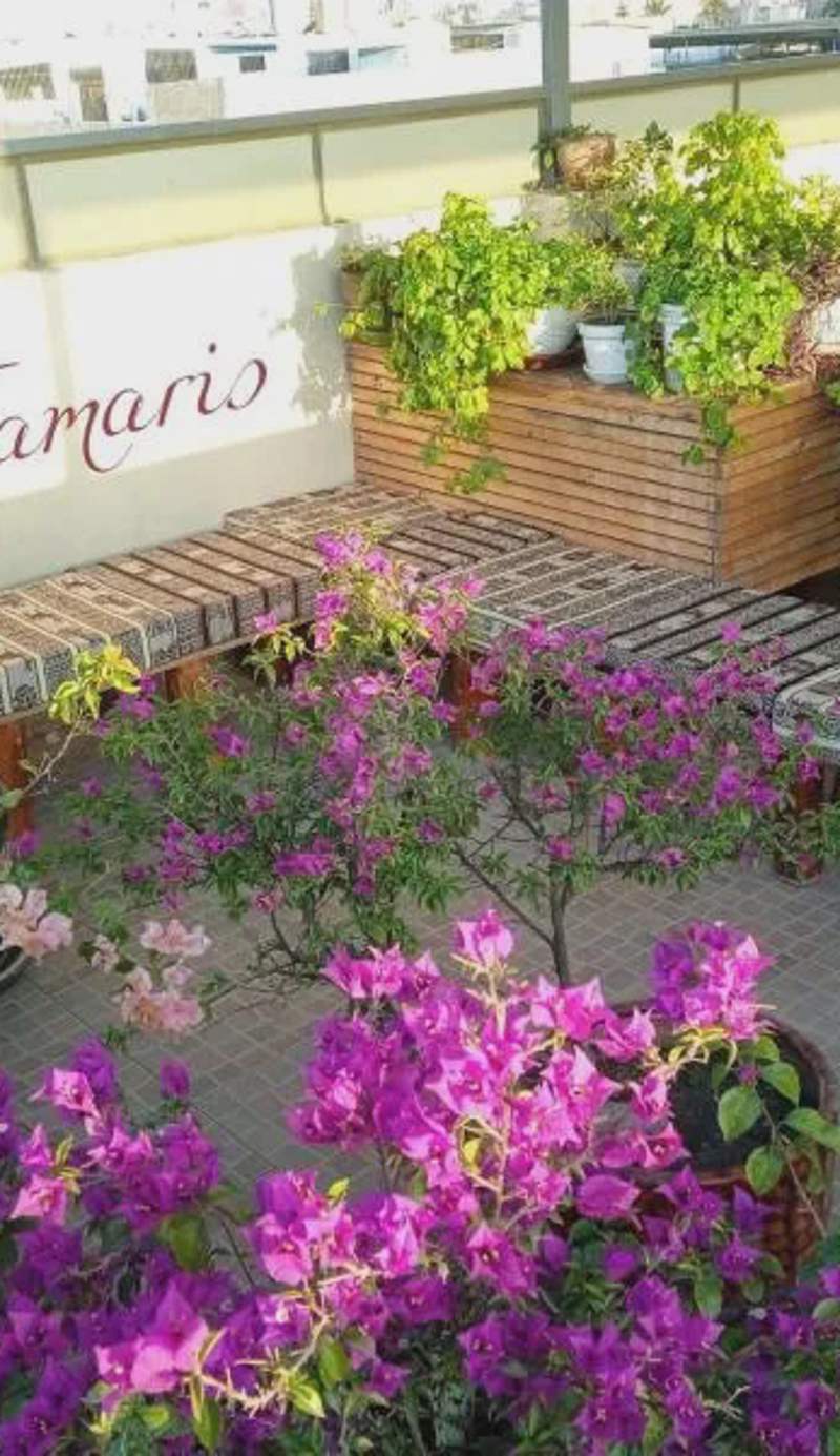 Tamaris Hotel