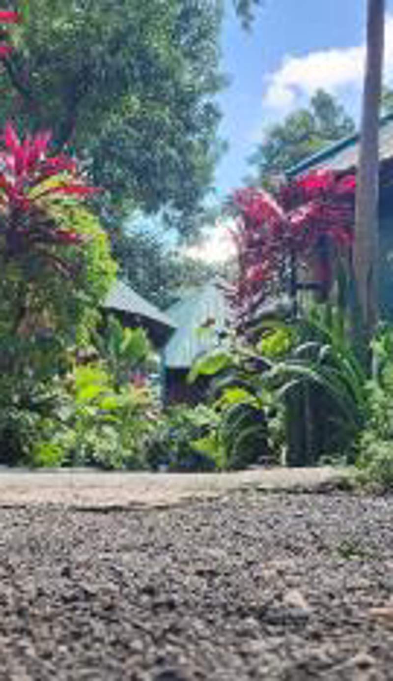 Kizumba House