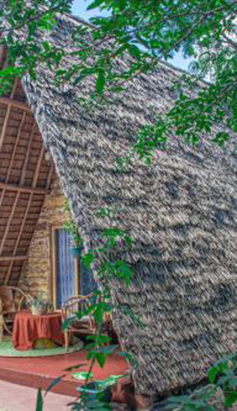 Charming Eco-Homestay near Kilimanjaro International Airport