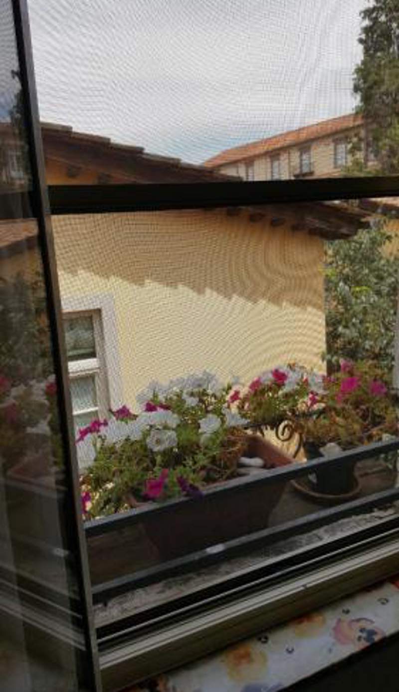 Mavi's bedrooms