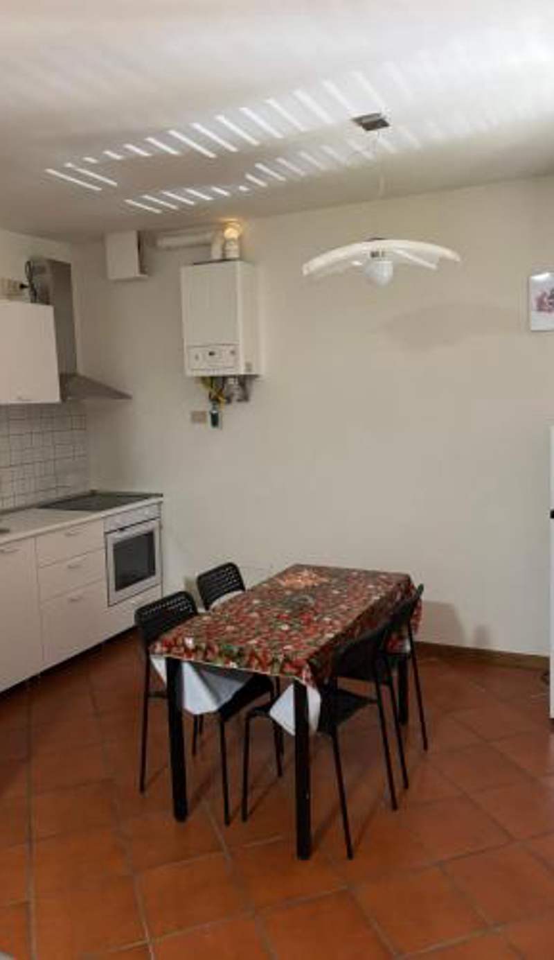 La casa del Geko rosa
