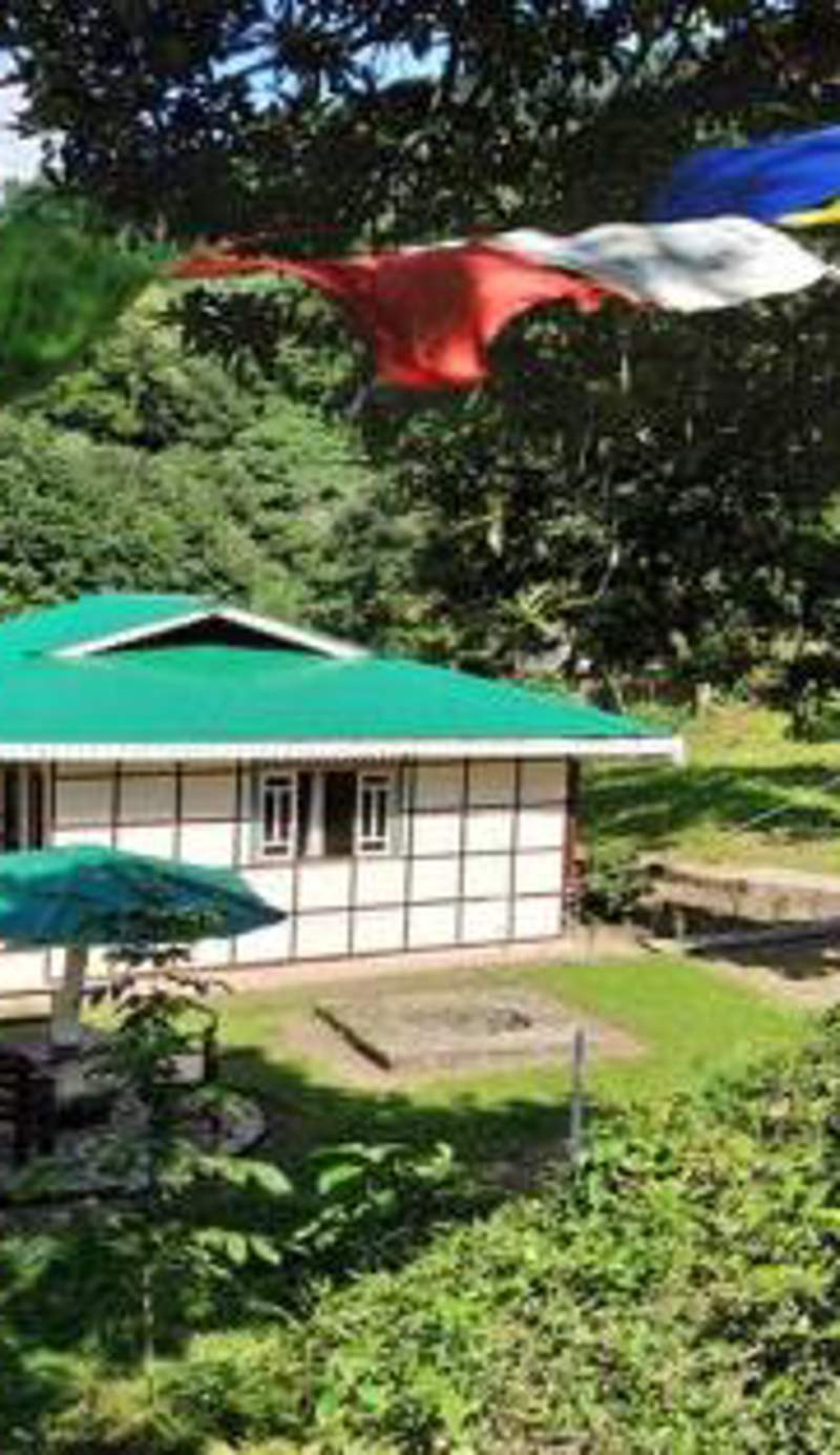 The Nettle and Fern Farmstay